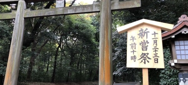 新嘗祭、大嘗祭、神嘗祭，這些慶祝收穫的祭典到底有何不同？