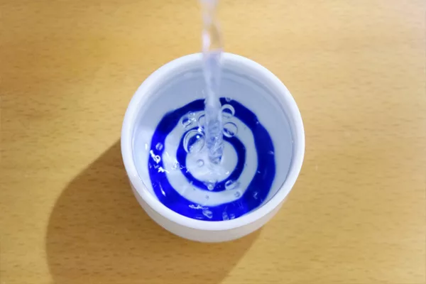 2024愛上日本酒精選文章：年度閱讀排行TOP 10！