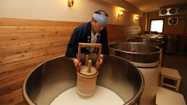 大七 生酛 釀造