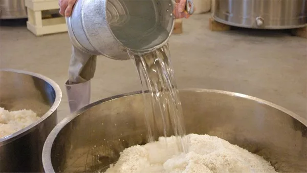 大七 生酛 釀造